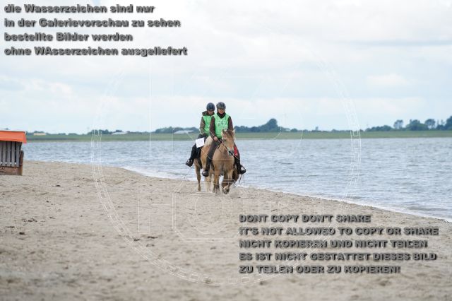 s_K3F04999.JPG